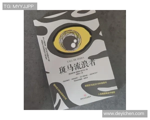 流浪者与快速的较量：在时间与空间的交错中寻找自我与归属